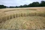 Sandy-Lane-Hantssm.jpg