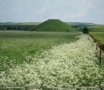 Silbury-Hill03sm.jpg