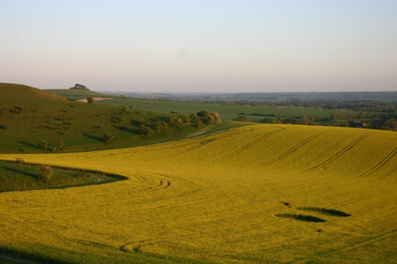 white-horse-alton-barnes.jpg