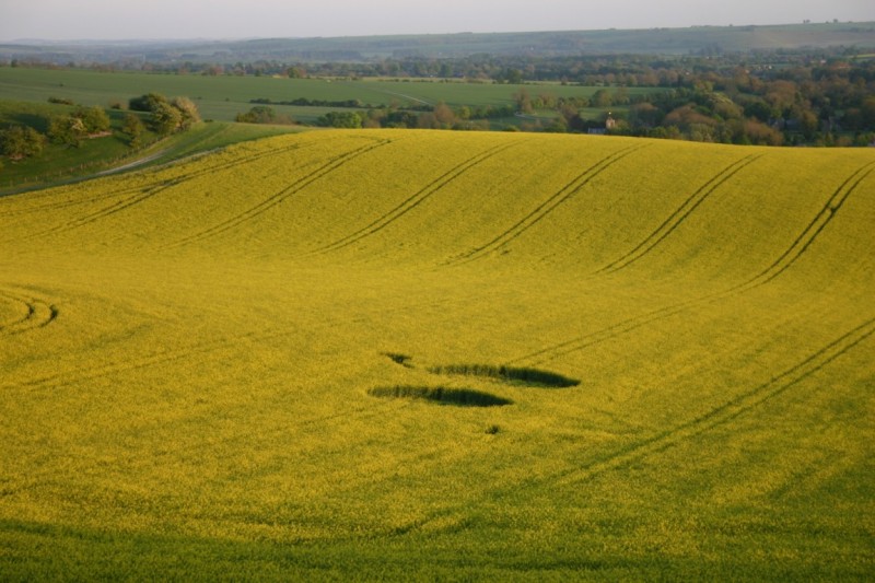 white-horse-alton-barnes2.jpg